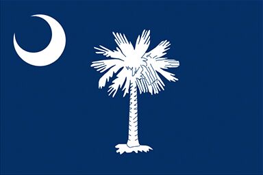 South Carolina state flag with a white crescent on the left and a white palmetto tree in the middle on blue background.