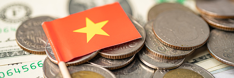 Predictions of Clearing Up the Vietnamese EB-5 Backlog