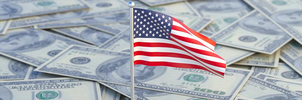 An American flag in front of a pile of dollars, symbolizing an investment in a new commercial enterprise.