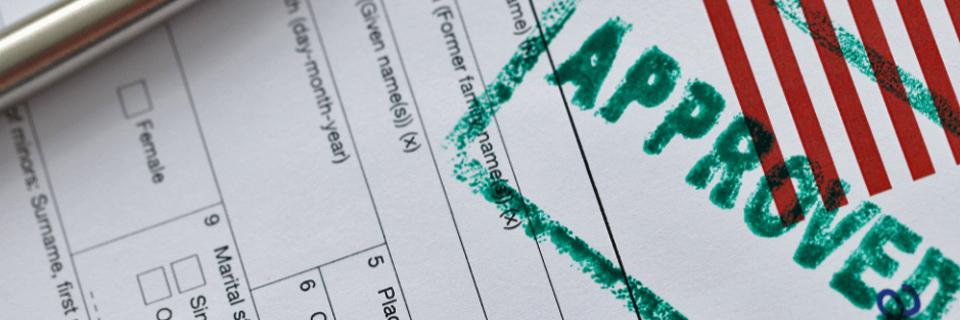 A United States immigration petition with a green 