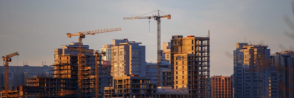 A wide shot of cranes at an EB-5 real estate development project site.