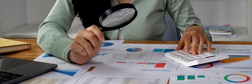 An EB5 expert studying investment capital data for professional advice on financial success.