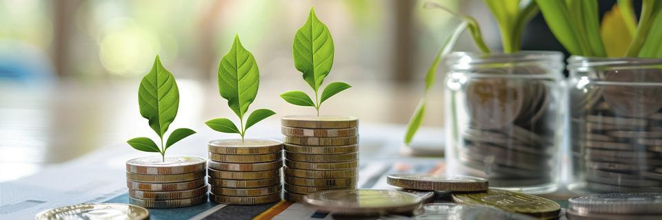 Stacks of coins with plants growing in them, symbolizing a capital investment and the redeployment of EB5 funds.