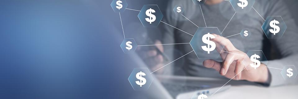 Investor using digital tools to track dollar transfers, illustrating currency exchange and fund transfers for EB5 applications.