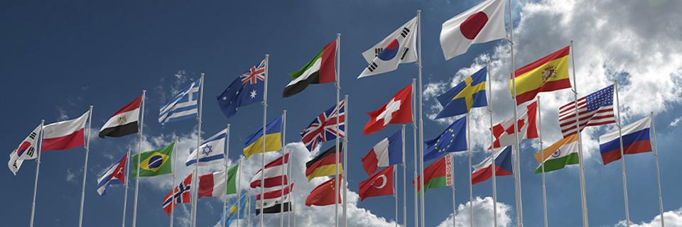 Flags of various countries waving against a blue sky, representing global eligibility for the EB5 visa and the treaty-based limitations of the E2 visa.