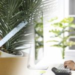 From Layoff to Stability: Using EB-5 to Maintain U.S. Residency